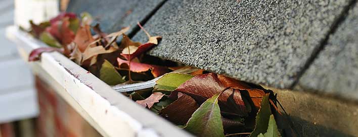 Gutter cleaning services in Brisbane